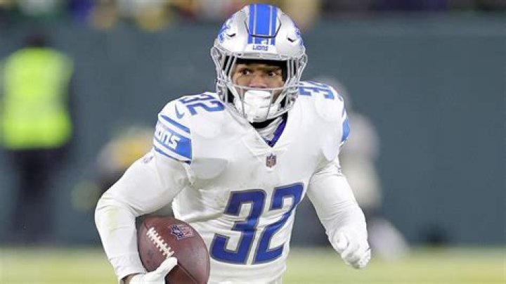 Insights And Discoveries For Lions Fans